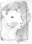 rotte tegnet med blyant